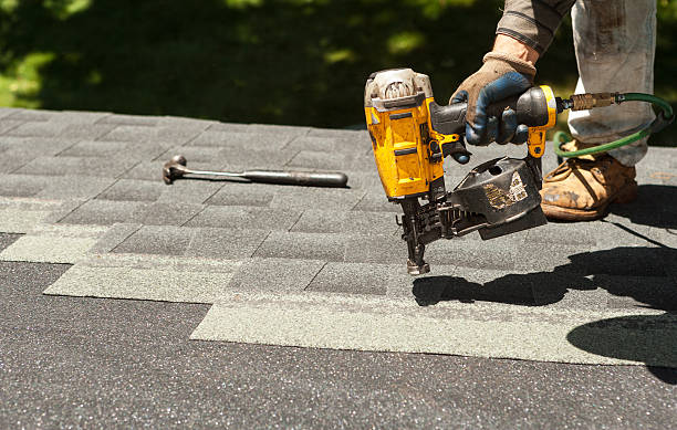 Best Roof Gutter Cleaning  in Bridge City, LA